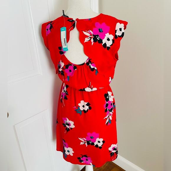 Hawthorn 41 Midnight Scallop Detail Dress - Picture 4 of 7